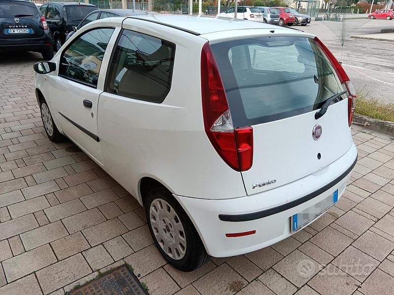 Usata Fiat Punto Active 60 CV (44 kW) 2009 Bianco Utilitaria