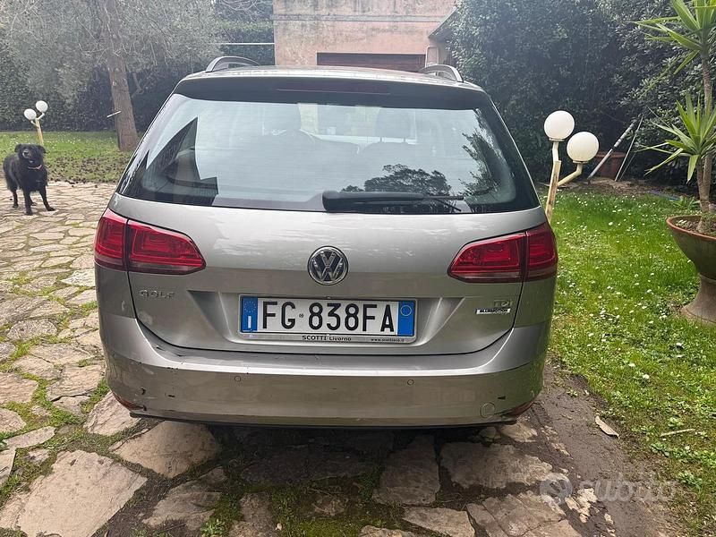 Usata VW Golf VII 90 CV (66 kW) 2017 Grigio Station wagon