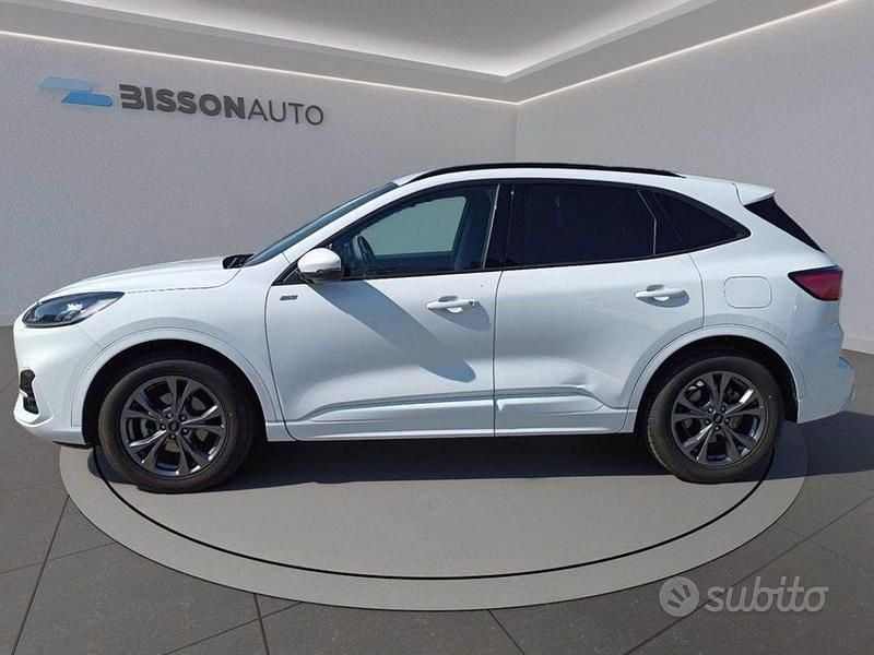 Usata Ford Kuga ST-Line 190 CV (139 kW) 2023 Bianco frozen SUV