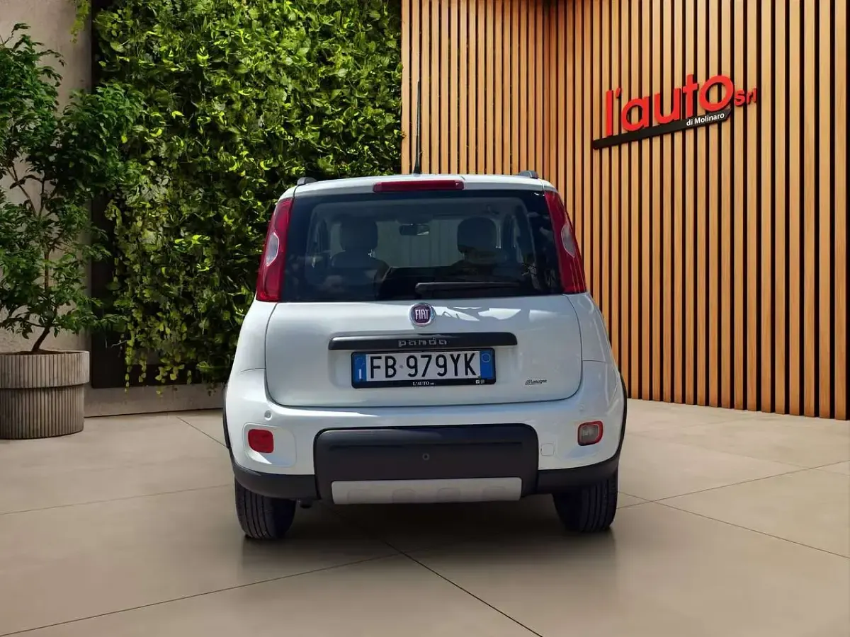 Usata Fiat Panda 4x4 95 CV (69 kW) 2016 Bianco Utilitaria