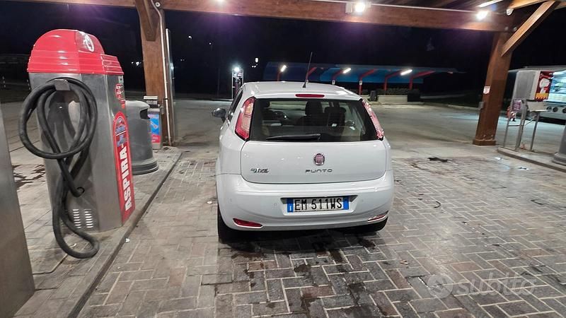 Usata Fiat Punto 2012 Bianco Utilitaria