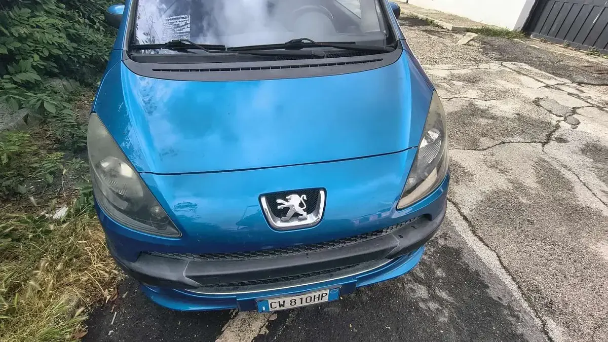 Usata Peugeot 1007 109 CV (80 kW) 2005 Monovolume