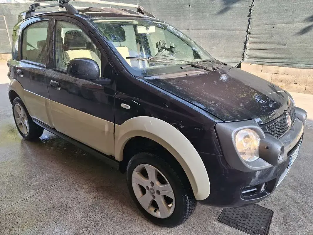 Usata Fiat Panda 4x4 Cross 69 CV (50 kW) 2010 Utilitaria