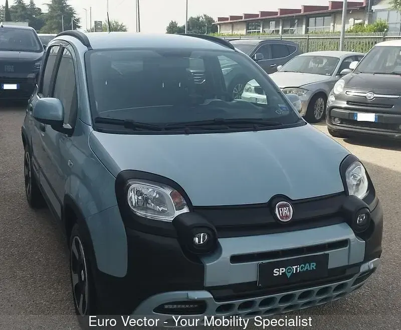 Usata Fiat Panda Cross Cross 69 CV (50 kW) 2020 Utilitaria