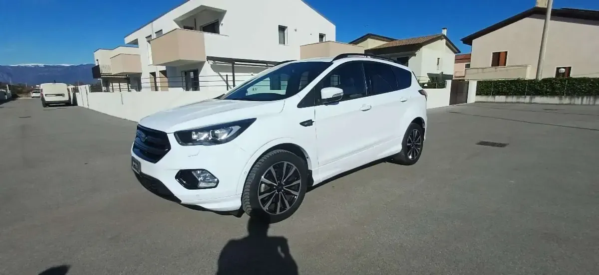 Usata Ford Kuga ST-Line 120 CV (88 kW) 2019 SUV