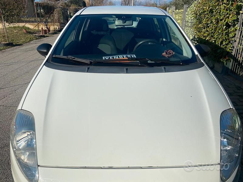 Usata Fiat Punto 2013 Bianco Utilitaria