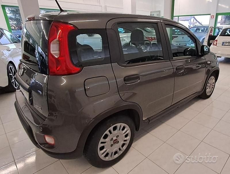 Usata Fiat Panda S 69 CV (50 kW) 2023 Grigio Utilitaria
