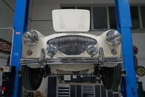 Usata Austin Healey 100 90 CV (66 kW) 1956 Bianco Cabrio