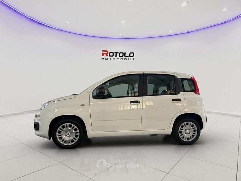 Nuova Fiat Panda Icon 69 CV (50 kW) 2026 Bianco Utilitaria