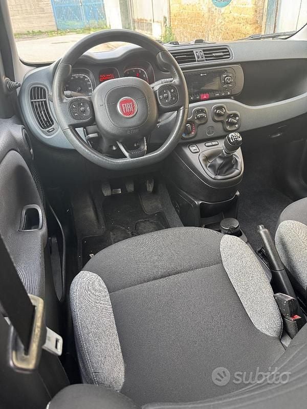Usata Fiat Panda Easy 69 CV (50 kW) 2019 Bianco Utilitaria