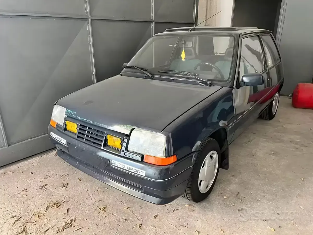 Usata Renault R5 Campus 46 CV (33 kW) 1991
