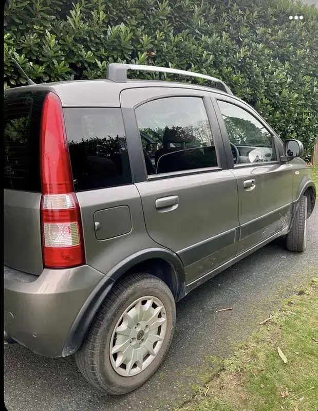 Usata Fiat Panda 4x4 Climbing 69 CV (50 kW) 2011 Grigio Utilitaria