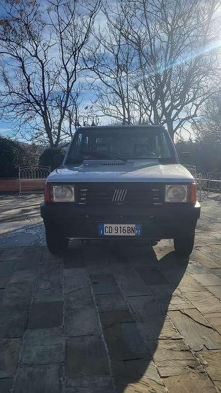 Usata Fiat Panda 4x4 Trekking 54 CV (39 kW) 2002 Argento Utilitaria