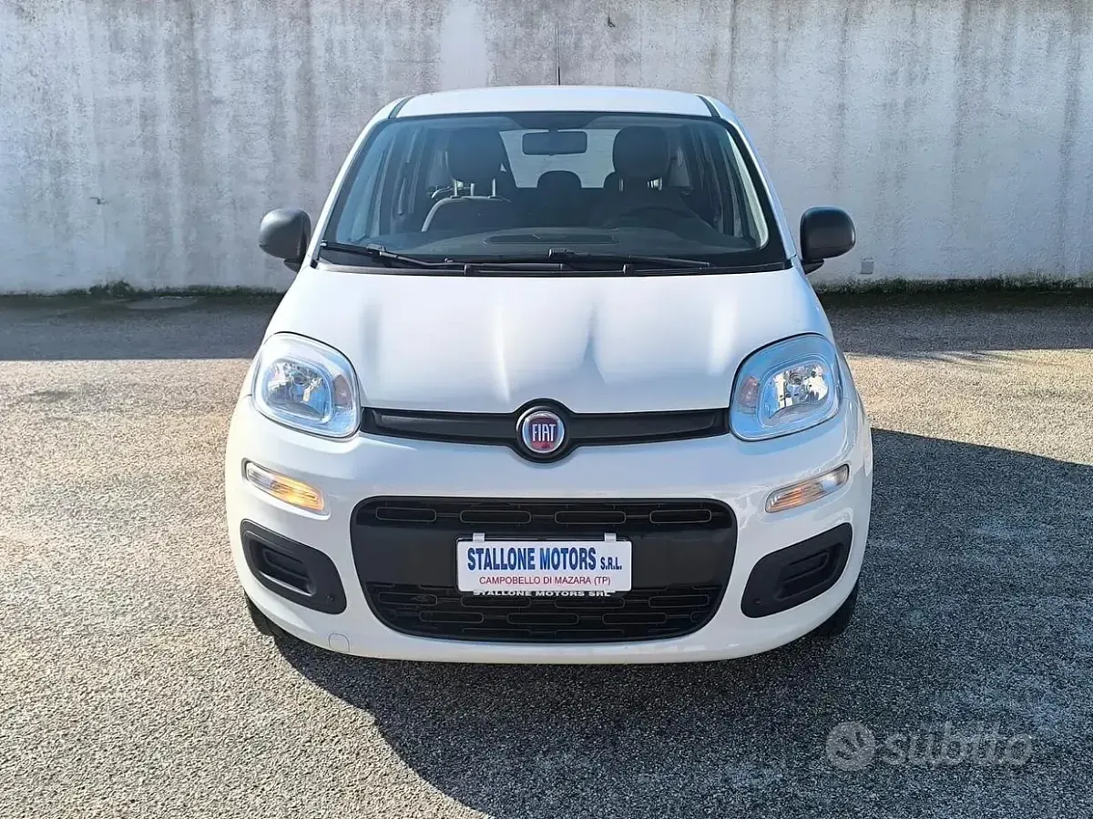 Usata Fiat Panda Easy 69 CV (50 kW) 2019 Bianco Utilitaria
