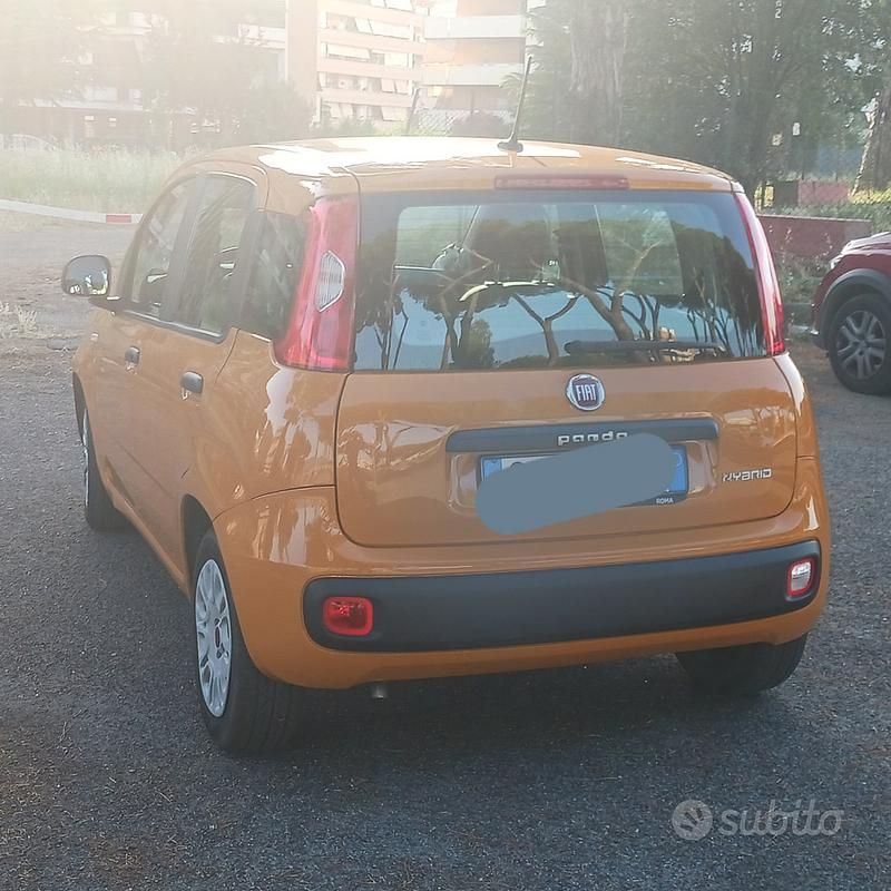 Usata Fiat Panda 70 CV (51 kW) 2020 Giallo Utilitaria