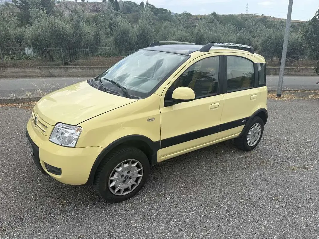 Usata Fiat Panda 4x4 Climbing 60 CV (44 kW) 2005 Utilitaria