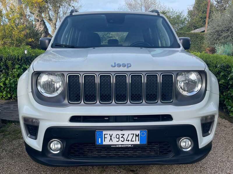 Usato 2019 Jeep Renegade 1.6 Diesel 120 CV (19.500 €)