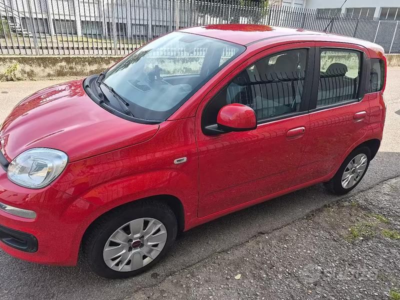 Usata Fiat Panda Easy 69 CV (50 kW) 2018 Rosso Utilitaria