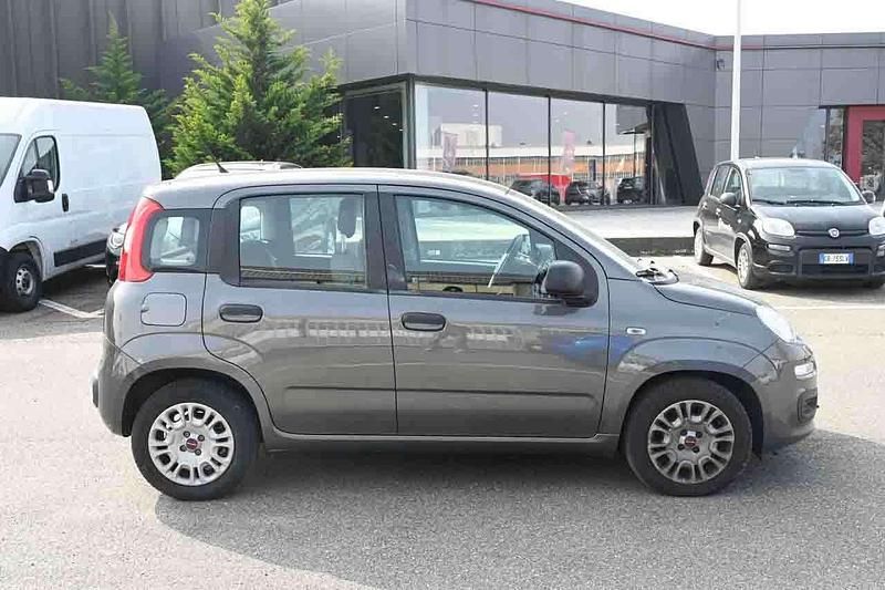 Usata Fiat Panda Easy 69 CV (50 kW) 2022 Grigio Utilitaria