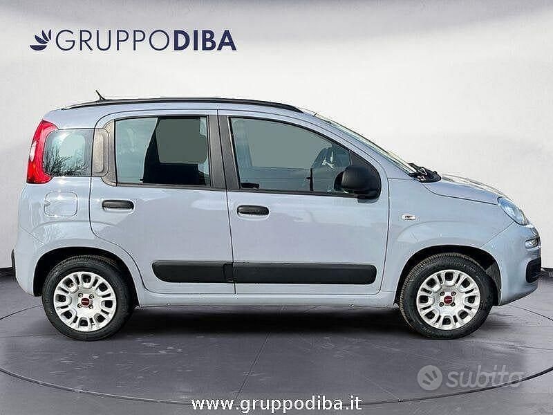 Usata Fiat Panda Easy 69 CV (50 kW) 2019 Grigio Utilitaria