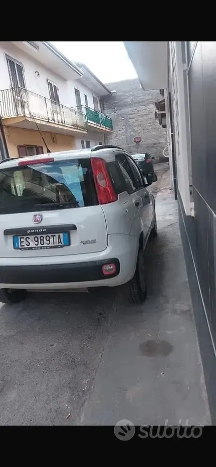 Usata Fiat Panda 85 CV (62 kW) 2013 Bianco Utilitaria