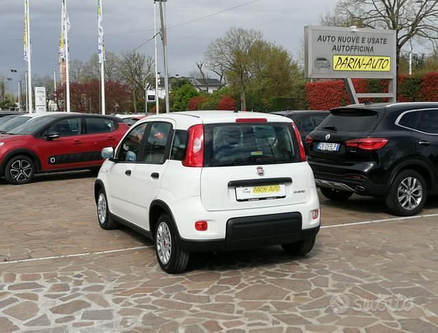 Usata Fiat Panda S 70 CV (51 kW) 2023 Bianco Utilitaria