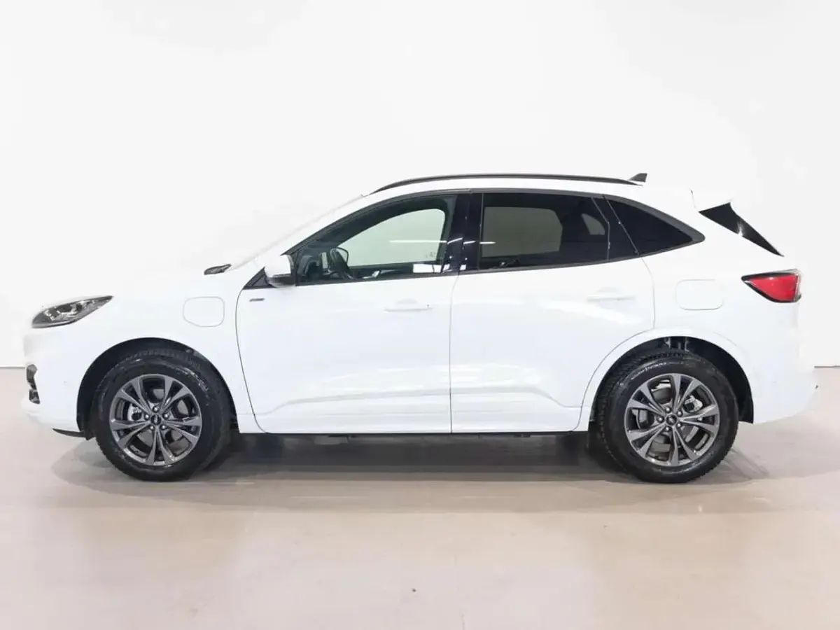 Usata Ford Kuga ST-Line X 154 CV (113 kW) 2023 Bianco SUV
