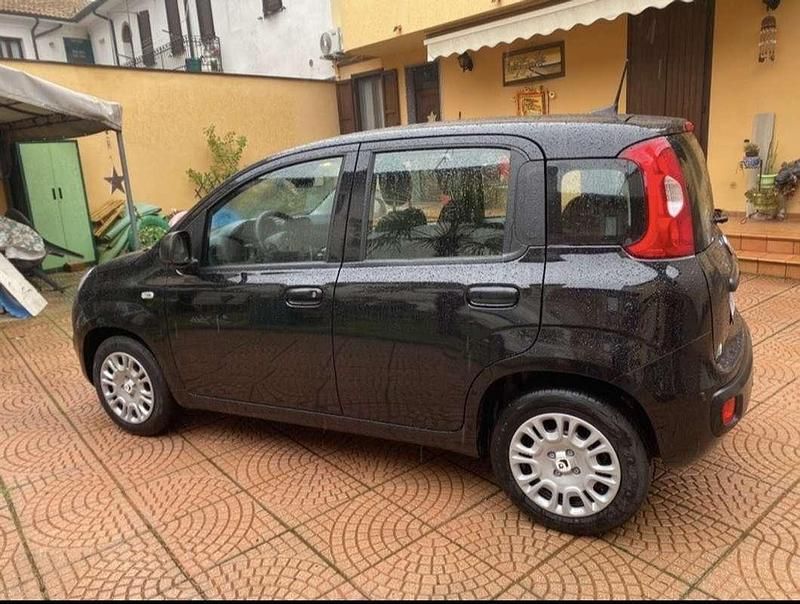Usata Fiat Panda Icon 69 CV (50 kW) 2025 Utilitaria