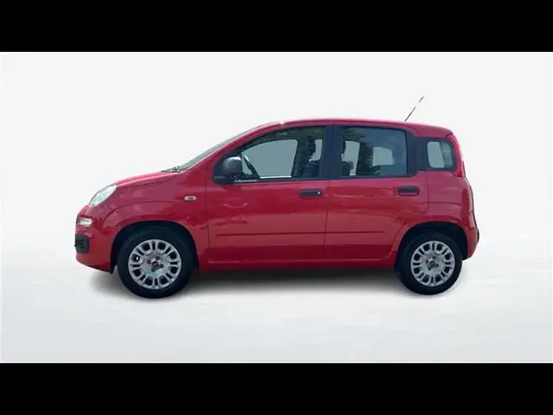 Usata Fiat Panda Easy 69 CV (50 kW) 2019 Rosso Utilitaria