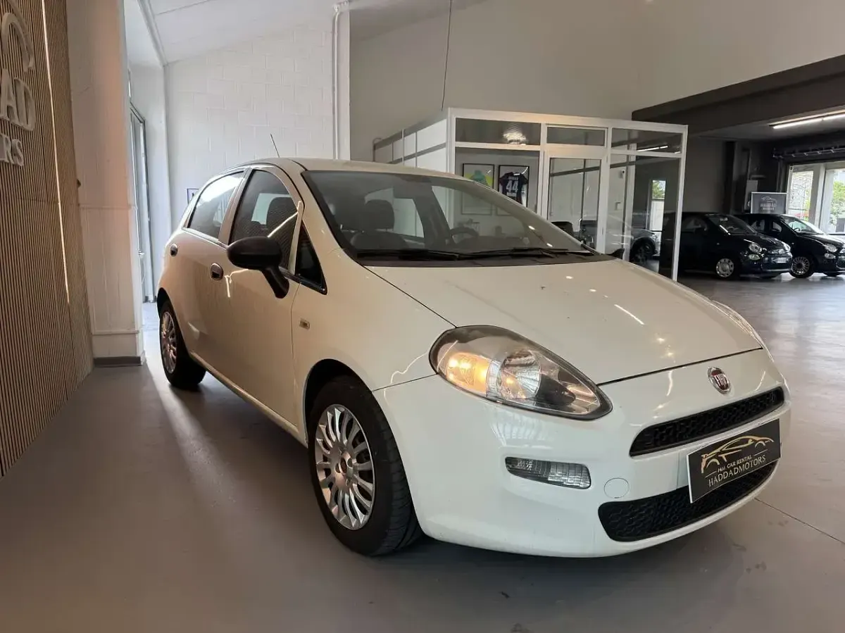Usata Fiat Punto Street 95 CV (69 kW) 2017 Other Utilitaria