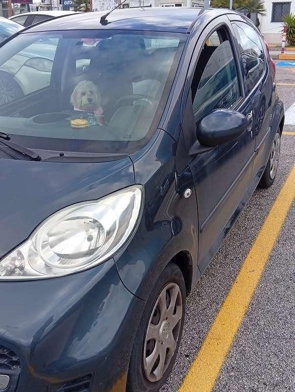 Usata Peugeot 107 68 CV (50 kW) 2012 Utilitaria