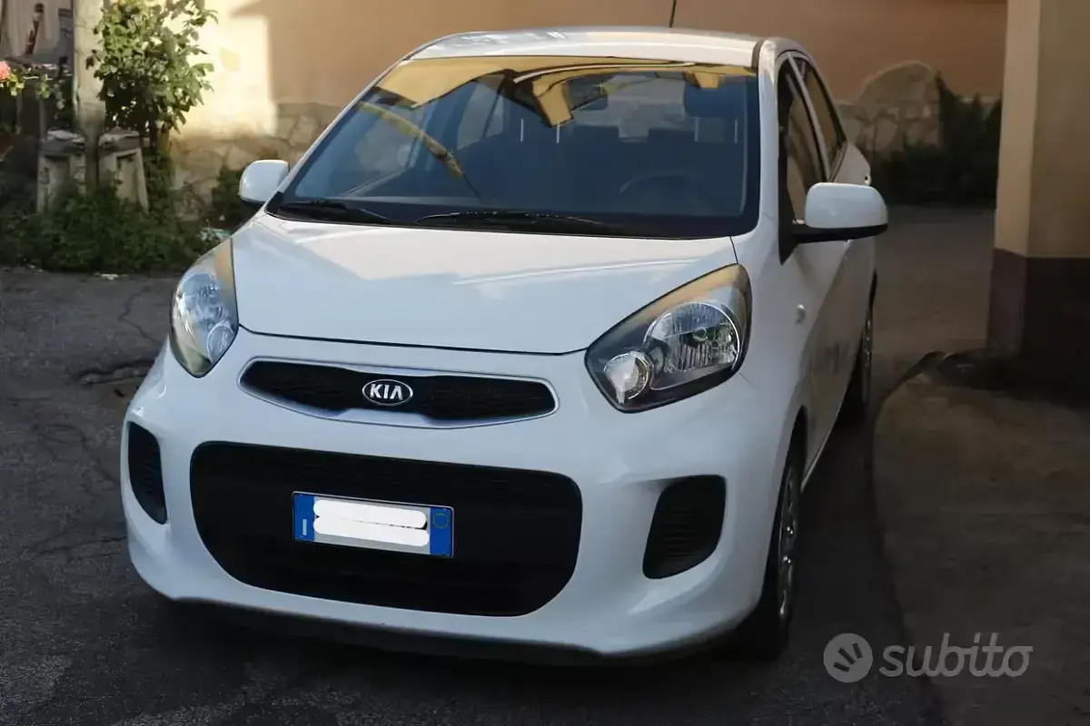 Usata Kia Picanto City 67 CV (49 kW) 2016 Bianco Utilitaria