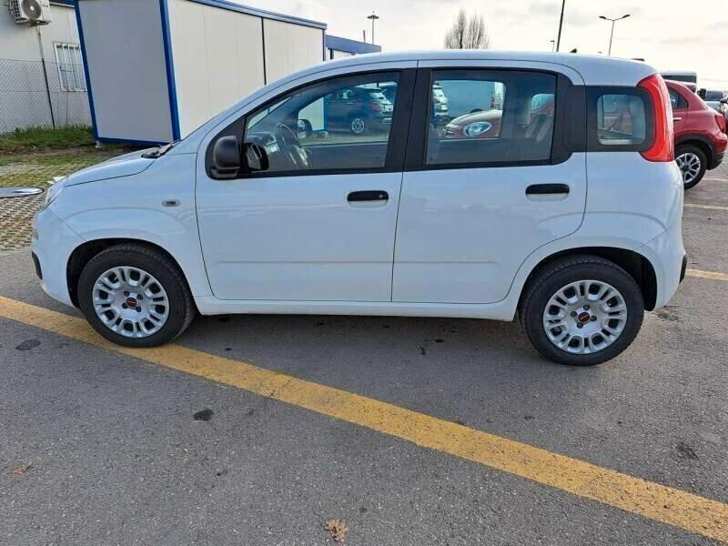 Usato 2019 Fiat Panda 1.2 Diesel 95 CV (10.900 €)