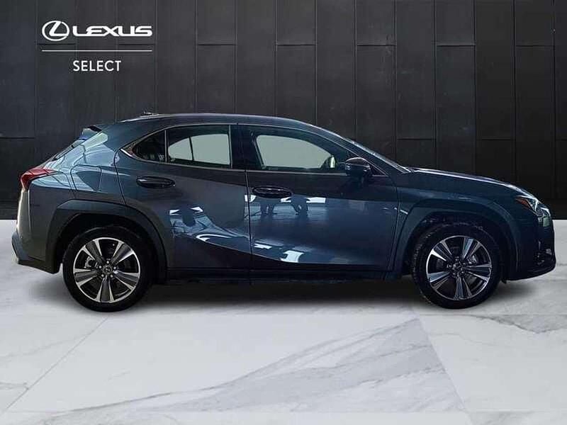 Usata Lexus UX 300e Luxury Line 56 kW (77 CV) 2024 Grigio SUV