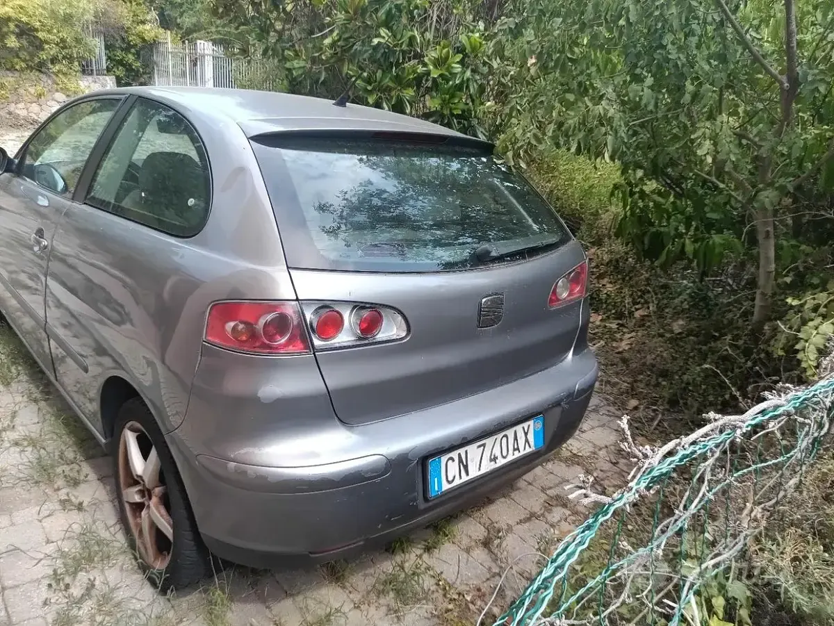 Usata Seat Ibiza 75 CV (55 kW) 2004 Grigio Utilitaria