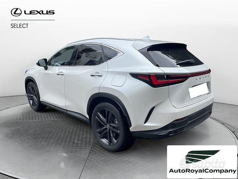 Usata Lexus NX350 243 CV (178 kW) 2024 Berlina