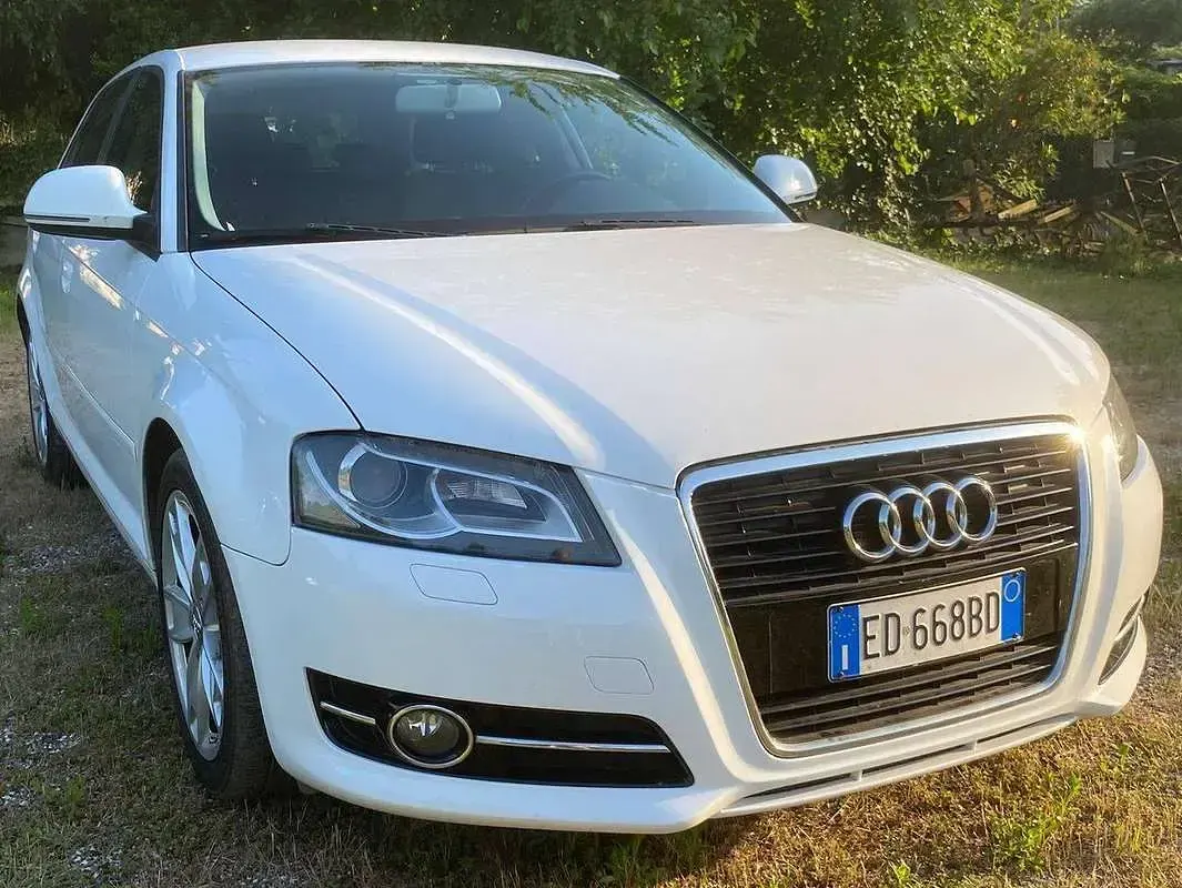 Usata Audi A3 Ambiente 105 CV (77 kW) 2010 Bianco Utilitaria
