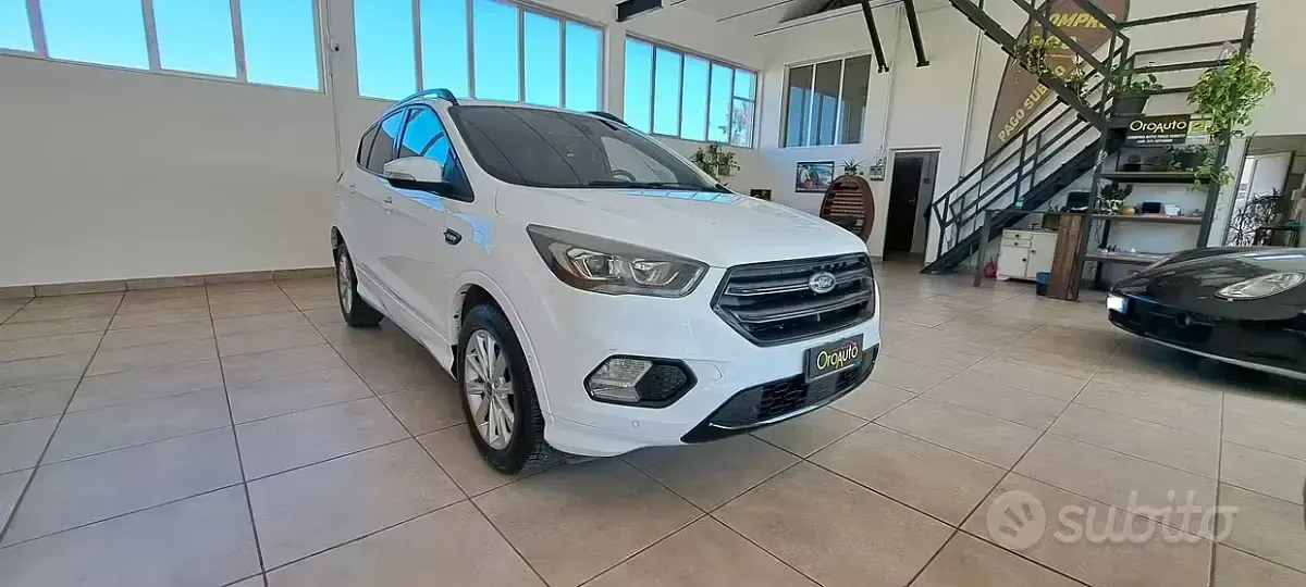 Usata Ford Kuga ST-Line 120 CV (88 kW) 2019 Bianco SUV