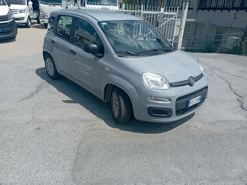 Usata Fiat Panda Easy 71 CV (52 kW) 2020 Grigio Utilitaria
