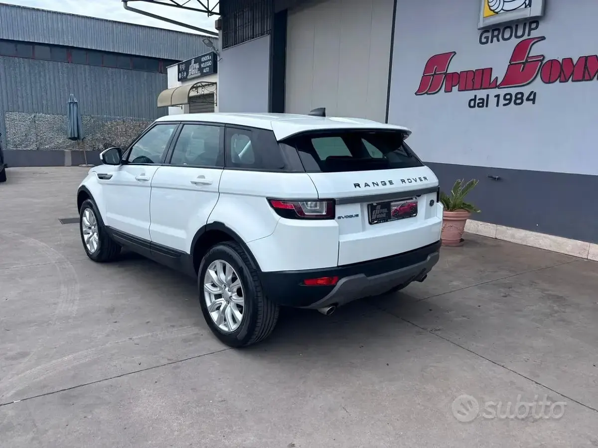 Usata Land Rover Range Rover evoque SE Dynamic 150 CV (110 kW) 2018 Bianco SUV