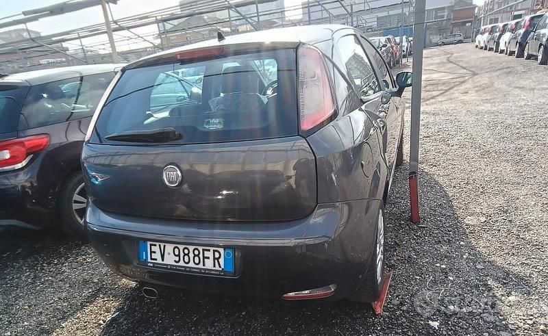 Usata Fiat Punto Lounge 77 CV (56 kW) 2014 Grigio Utilitaria