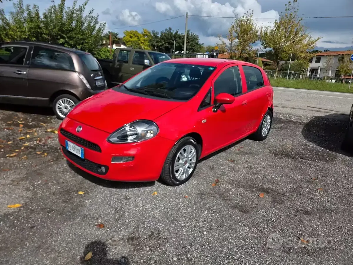 Usata Fiat Punto Lounge 69 CV (50 kW) 2016 Rosso Utilitaria