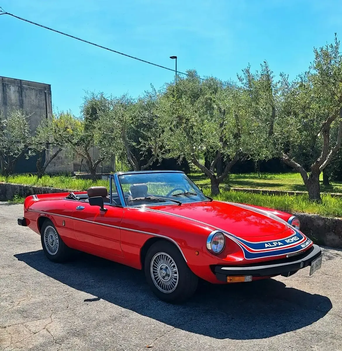 Usata Alfa Romeo Spider Veloce 131 CV (96 kW) 1978 Rosso Cabrio