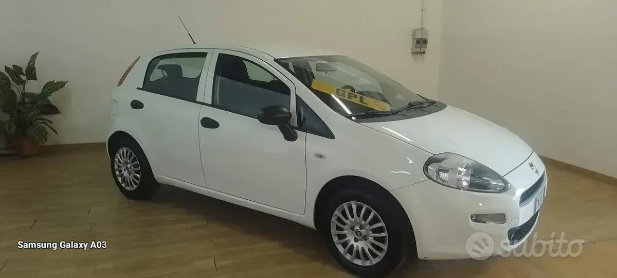 Usata Fiat Punto 69 CV (50 kW) 2017 Bianco Utilitaria