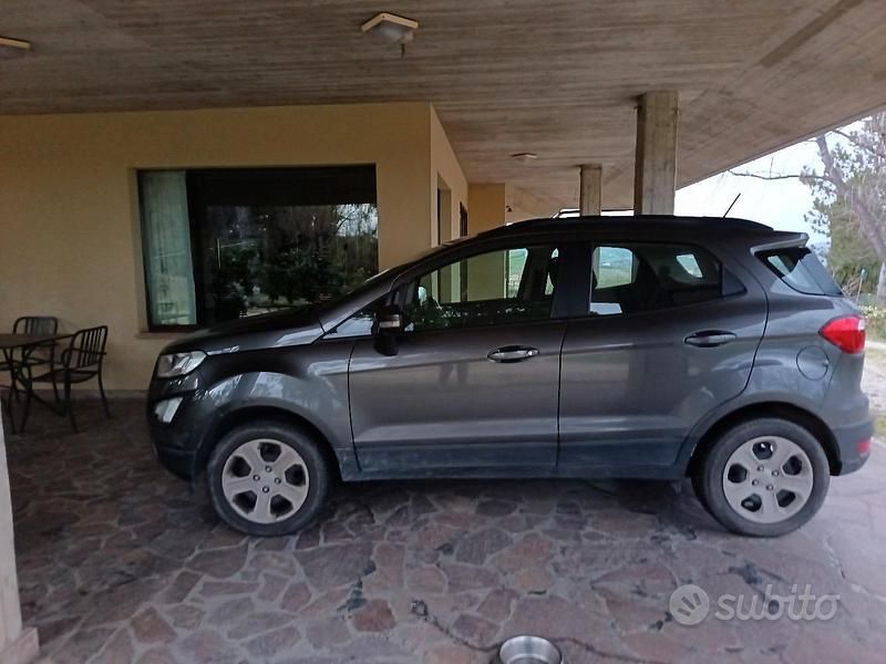 Usata Ford Ecosport 100 CV (73 kW) 2019 Grigio SUV
