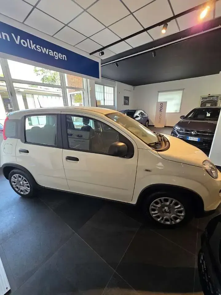 Usata Fiat Panda S 69 CV (50 kW) 2025 Bianco Utilitaria