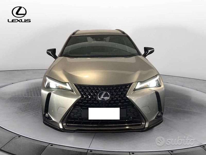 Usata Lexus UX 250h 2021 SUV