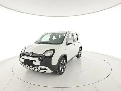 Usata Fiat Panda Cross Cross 69 CV (50 kW) 2023 Bianco Utilitaria