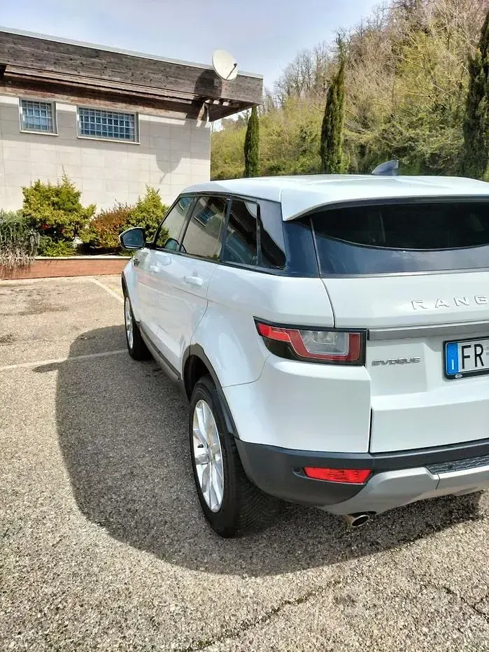 Usata Land Rover Range Rover evoque 150 CV (110 kW) 2018 Bianco SUV