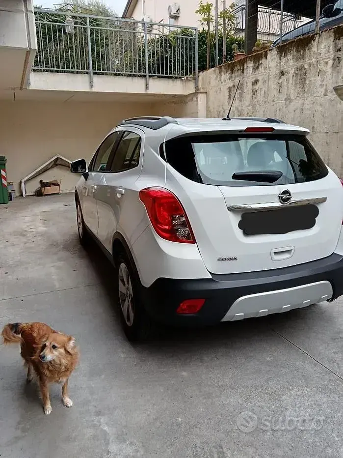 Usata Opel Mokka 140 CV (102 kW) 2015 Bianco SUV